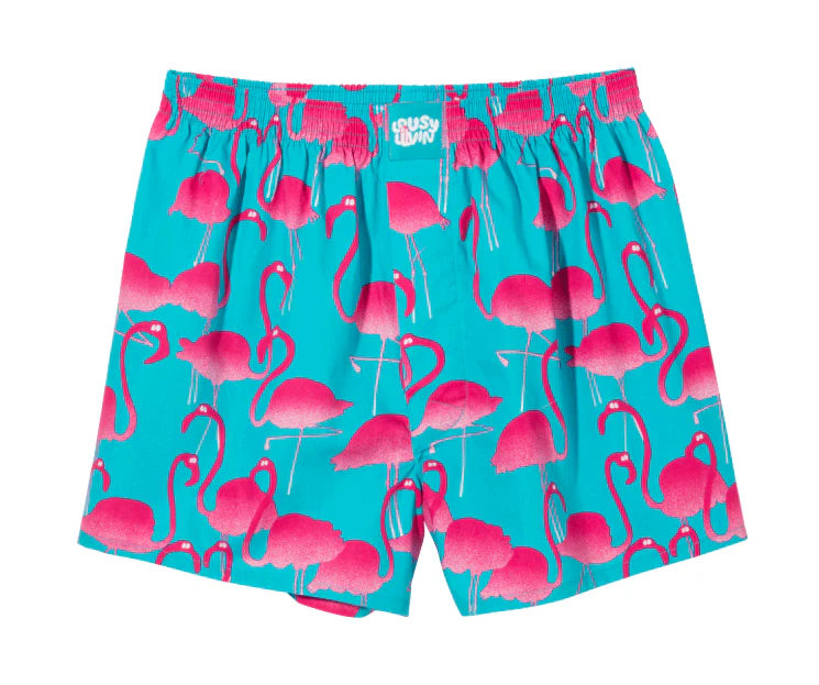 Lousy Flamingo 2pack Boxershorts Black/ Blue - Image 3