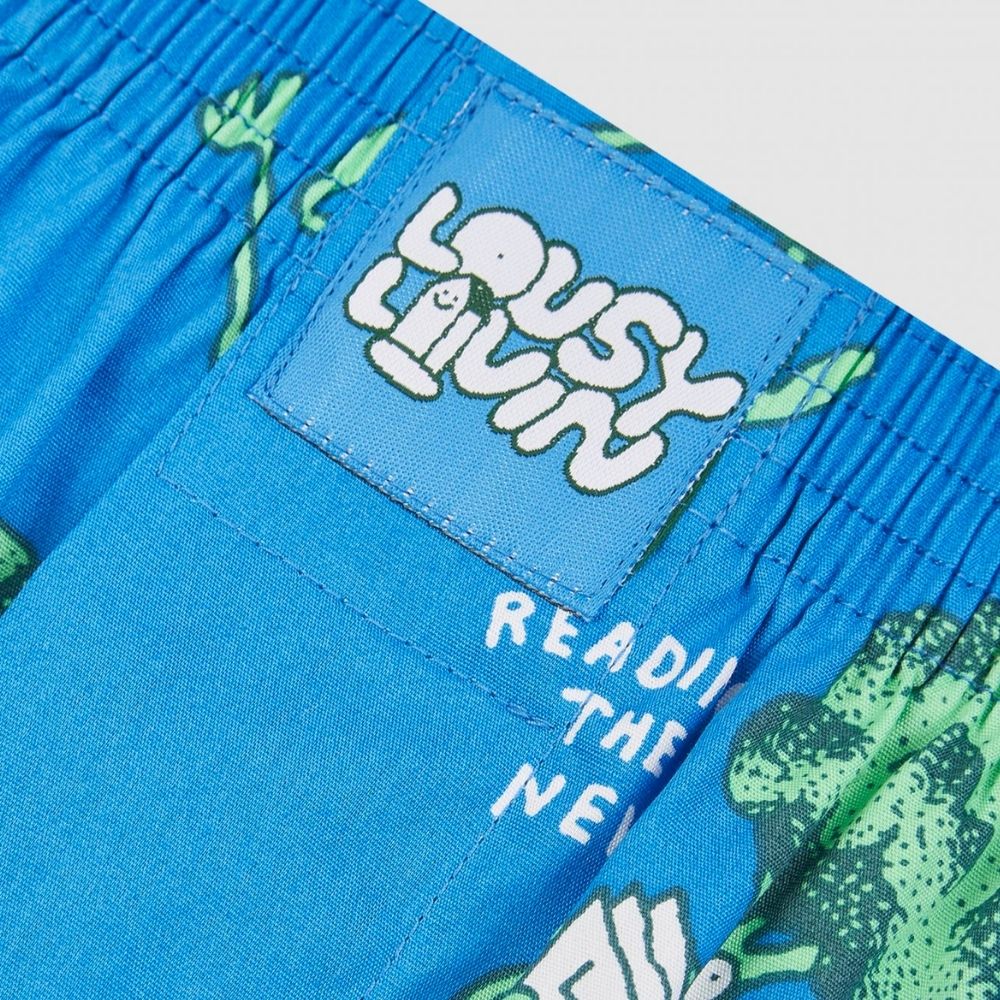 Broccoli Boxershorts Directoire Blue - Image 2