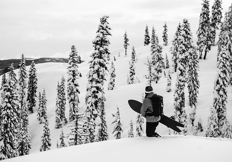 Dart Brushed Snowboard - Image 5