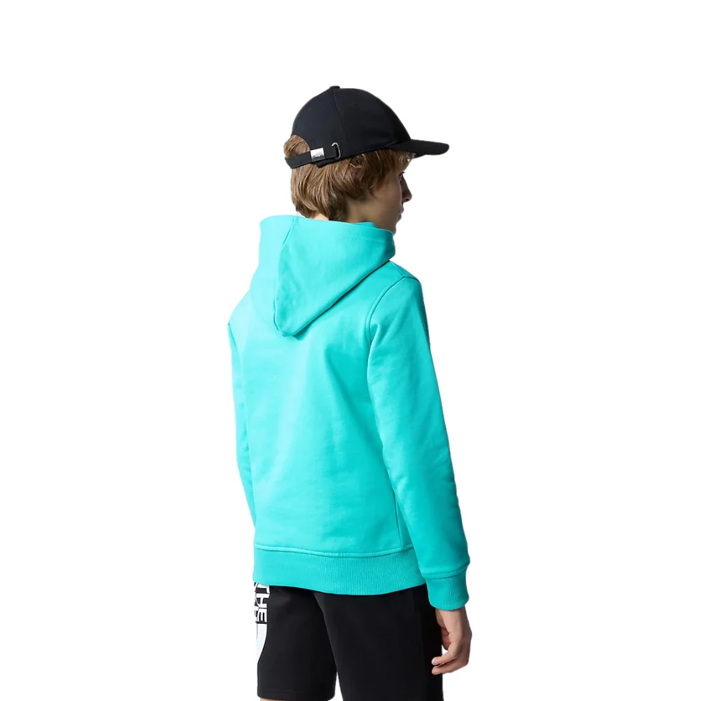 Kids Drew Peak Hoodie Geyser Aqua - Image 2