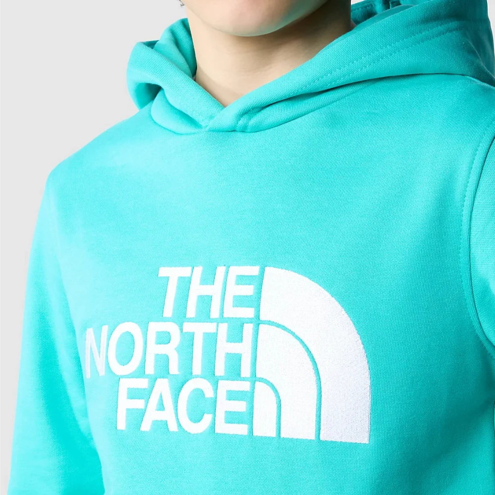 Kids Drew Peak Hoodie Geyser Aqua - Image 5
