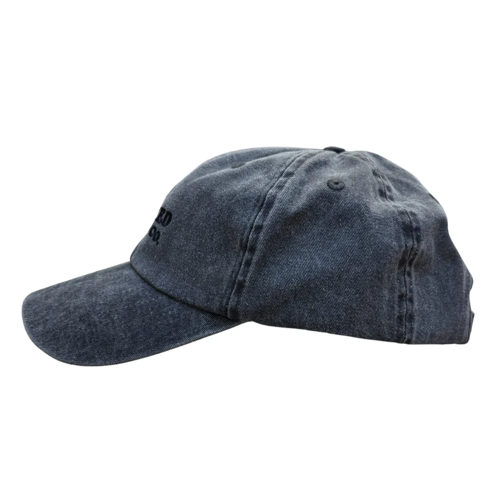 Sunfade Dad Cap Washed Black - Image 2