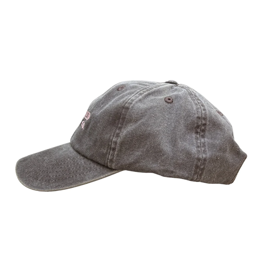 Sunfade Dad Cap Washed Brown - Image 2