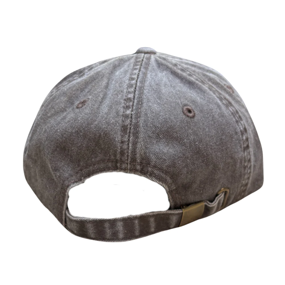 Sunfade Dad Cap Washed Brown - Image 4